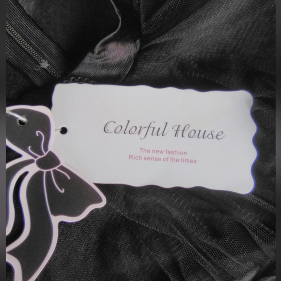 NWT Color house gothic day of the dead bride dress - Picture 3 of 14